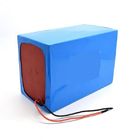 Tricycle 24V LiFePO4 Battery Pack 24Ah Lithium Iron Phosphate Deep Cycle Battery
